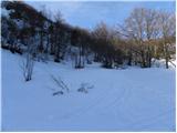 Bohinjsko sedlo - Šavnik